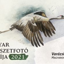 A Varázslatos Magyarország átadta A magyar természetfotó nagydíját